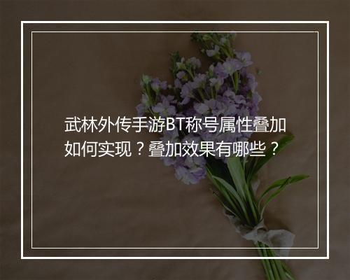 武林外传手游BT称号属性叠加如何实现?叠加效果有哪些?