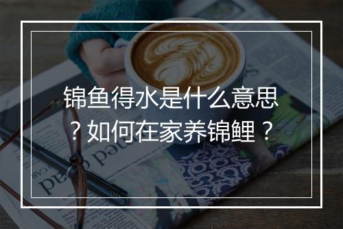 锦鱼得水是什么意思？如何在家养锦鲤？