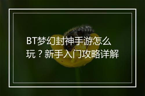 BT梦幻封神手游怎么玩？新手入门攻略详解