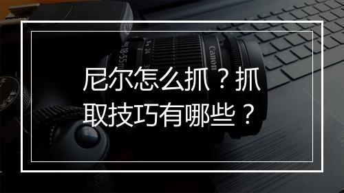 尼尔怎么抓？抓取技巧有哪些？