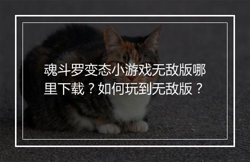 魂斗罗变态小游戏无敌版哪里下载?如何玩到无敌版?