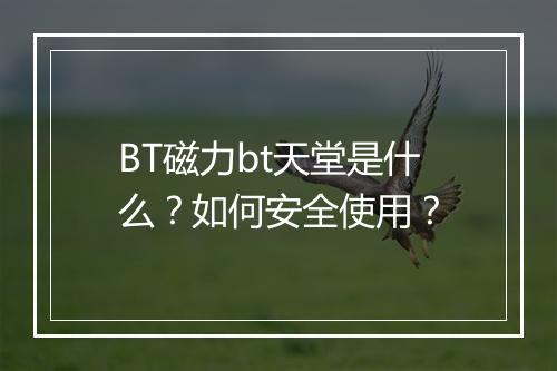 BT磁力bt天堂是什么?如何安全使用?