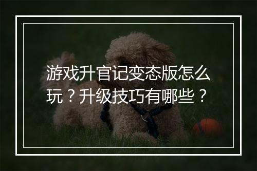 游戏升官记变态版怎么玩?升级技巧有哪些?