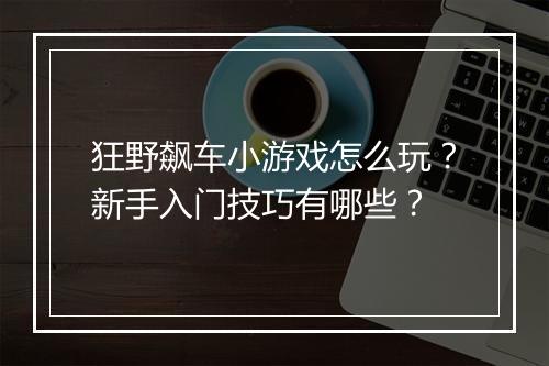 狂野飙车小游戏怎么玩？新手入门技巧有哪些？