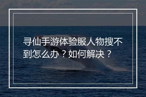 寻仙手游体验服人物搜不到怎么办？如何解决？
