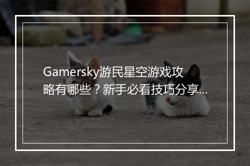 Gamersky游民星空游戏攻略有哪些?新手必看技巧分享?