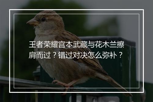 王者荣耀宫本武藏与花木兰擦肩而过？错过对决怎么弥补？