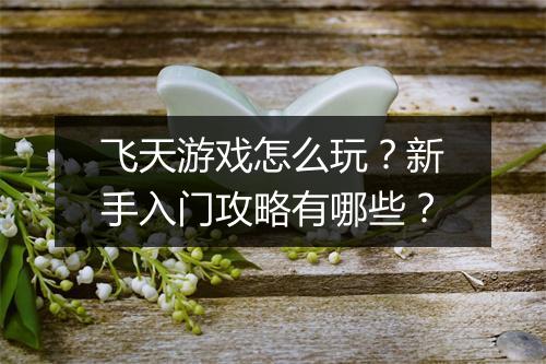 飞天游戏怎么玩?新手入门攻略有哪些?