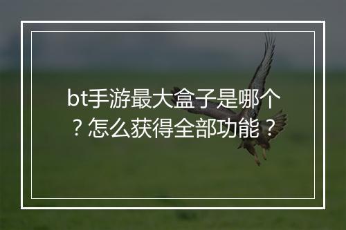 bt手游最大盒子是哪个?怎么获得全部功能?