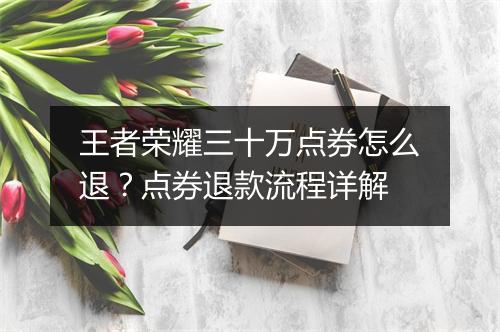 王者荣耀三十万点券怎么退？点券退款流程详解