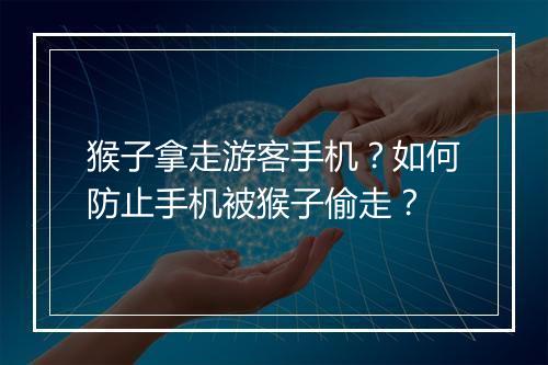 猴子拿走游客手机？如何防止手机被猴子偷走？