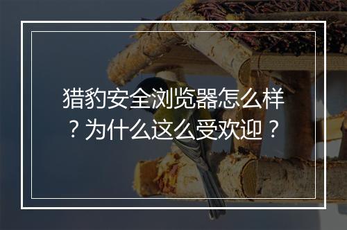 猎豹安全浏览器怎么样？为什么这么受欢迎？