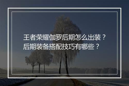 王者荣耀伽罗后期怎么出装？后期装备搭配技巧有哪些？