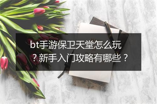 bt手游保卫天堂怎么玩?新手入门攻略有哪些?