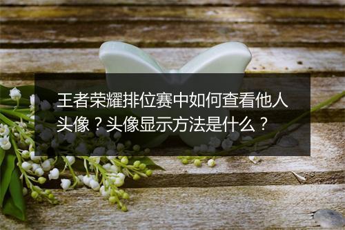王者荣耀排位赛中如何查看他人头像？头像显示方法是什么？