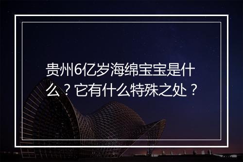 贵州6亿岁海绵宝宝是什么?它有什么特殊之处?