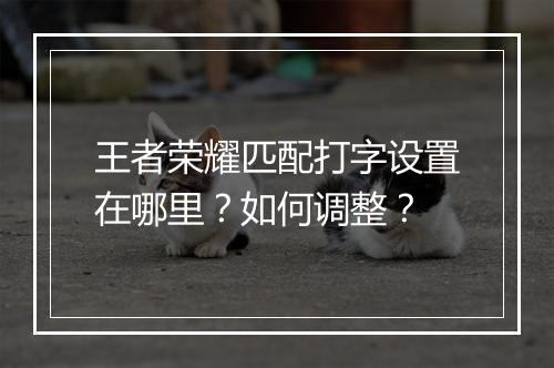 王者荣耀匹配打字设置在哪里？如何调整？