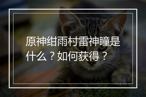 原神绀雨村雷神瞳是什么?如何获得?