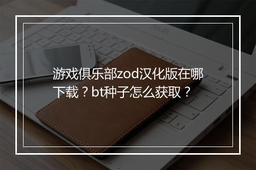 游戏俱乐部zod汉化版在哪下载?bt种子怎么获取?