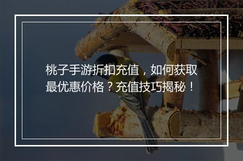 桃子手游折扣充值,如何获取最优惠价格?充值技巧揭秘!