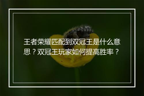 王者荣耀匹配到双冠王是什么意思？双冠王玩家如何提高胜率？