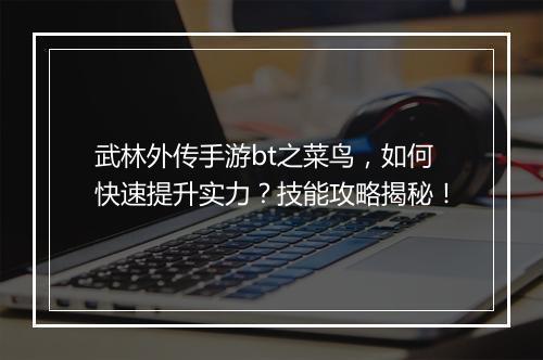 武林外传手游bt之菜鸟,如何快速提升实力?技能攻略揭秘!