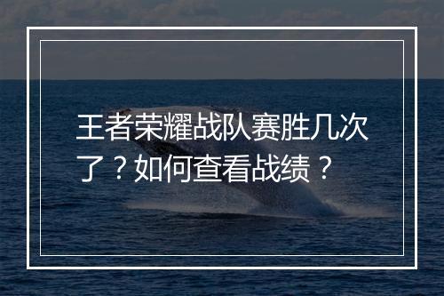 王者荣耀战队赛胜几次了？如何查看战绩？