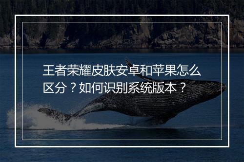 王者荣耀皮肤安卓和苹果怎么区分？如何识别系统版本？