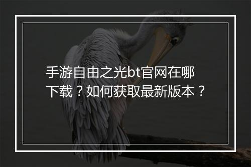 手游自由之光bt官网在哪下载？如何获取最新版本？