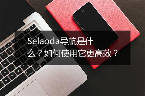 Selaoda导航是什么?如何使用它更高效?