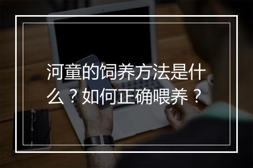 河童的饲养方法是什么?如何正确喂养?