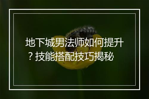 地下城男法师如何提升?技能搭配技巧揭秘