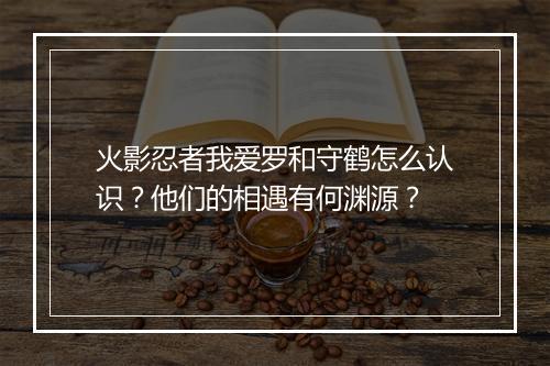 火影忍者我爱罗和守鹤怎么认识？他们的相遇有何渊源？