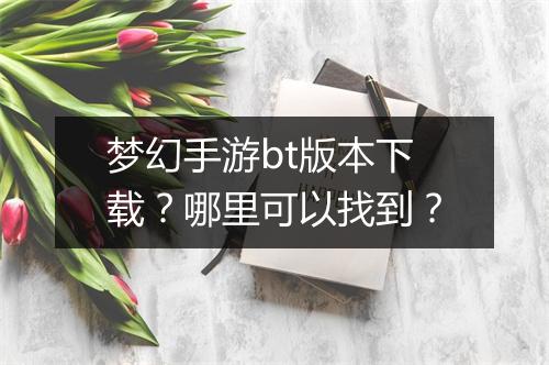 梦幻手游bt版本下载?哪里可以找到?