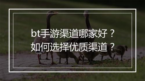 bt手游渠道哪家好?如何选择优质渠道?