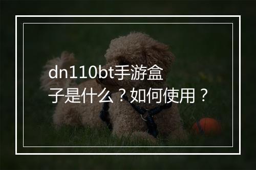 dn110bt手游盒子是什么?如何使用?