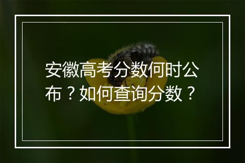 安徽高考分数何时公布?如何查询分数?