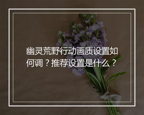 幽灵荒野行动画质设置如何调？推荐设置是什么？