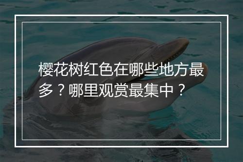 樱花树红色在哪些地方最多?哪里观赏最集中?