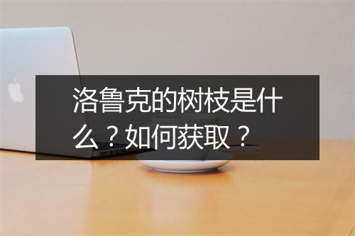 洛鲁克的树枝是什么?如何获取?