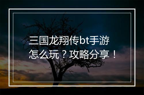 三国龙翔传bt手游怎么玩？攻略分享！