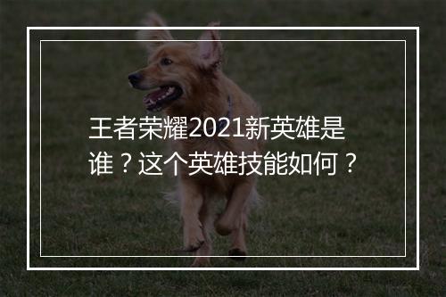王者荣耀2021新英雄是谁？这个英雄技能如何？