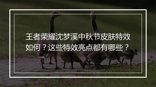 王者荣耀沈梦溪中秋节皮肤特效如何？这些特效亮点都有哪些？