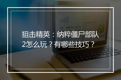狙击精英:纳粹僵尸部队2怎么玩?有哪些技巧?