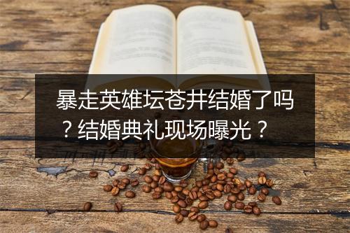 暴走英雄坛苍井结婚了吗?结婚典礼现场曝光?