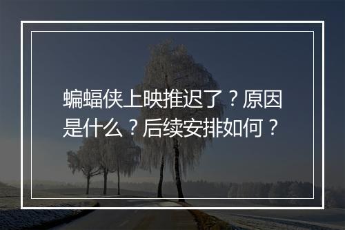 蝙蝠侠上映推迟了？原因是什么？后续安排如何？