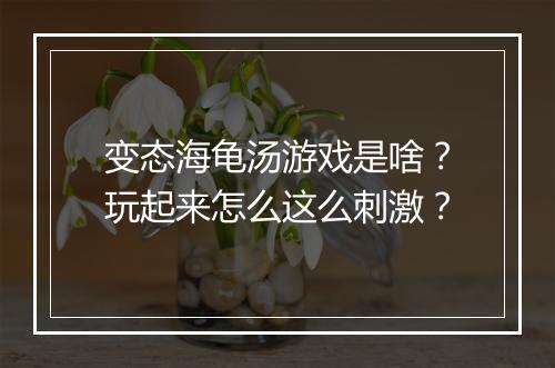变态海龟汤游戏是啥?玩起来怎么这么刺激?