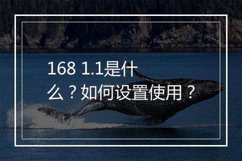 168 1.1是什么？如何设置使用？