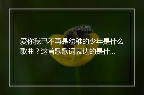 爱你我已不再是幼稚的少年是什么歌曲?这首歌歌词表达的是什么情感?