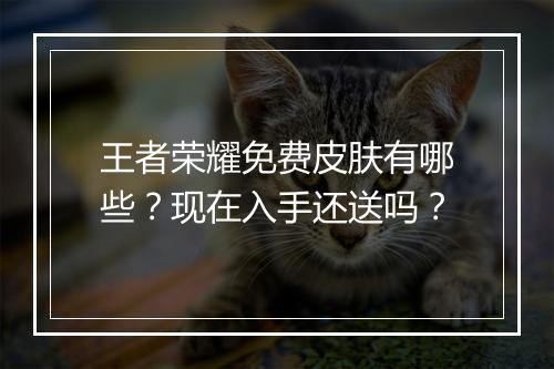 王者荣耀免费皮肤有哪些？现在入手还送吗？